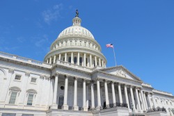 Reston VA Government Contractor Accounting